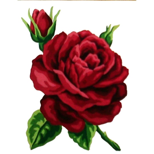 Red Rose 