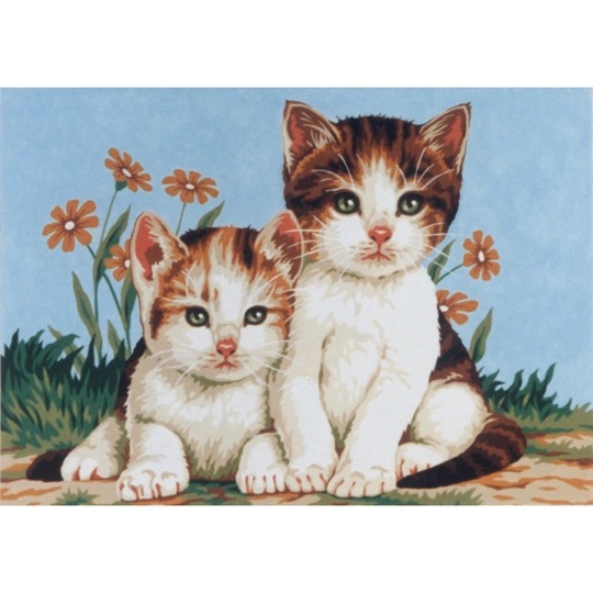 Kittens