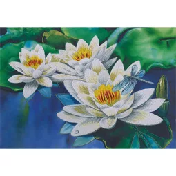 Gentle Lotuses