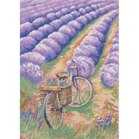 Lavender Field