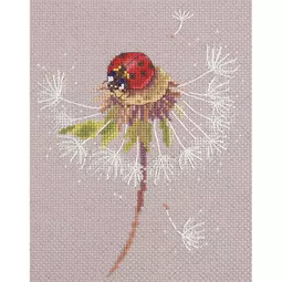 Ladybird on Dandelion