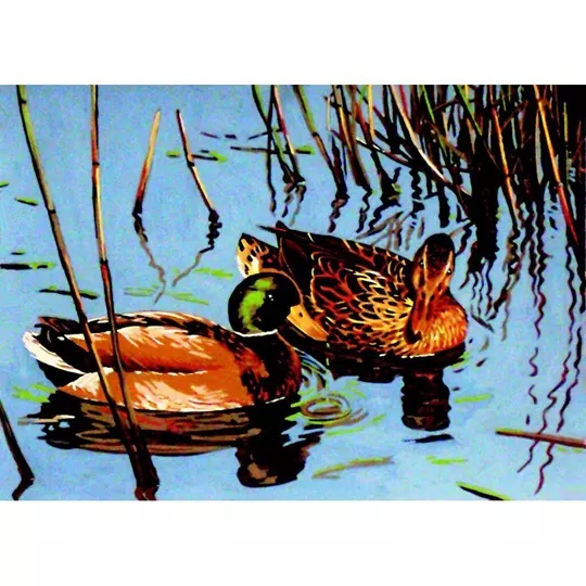 Mallard Pair