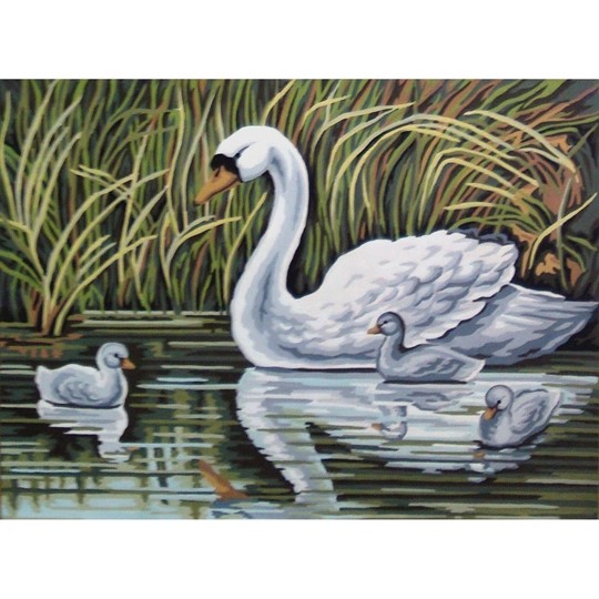 Swan and Cygnets