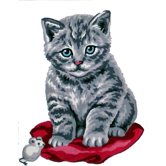 Cat and Mouse