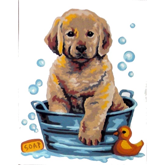 Labrador Bath