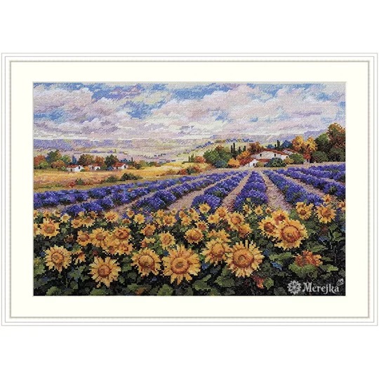 Fields of Lavender and Sun