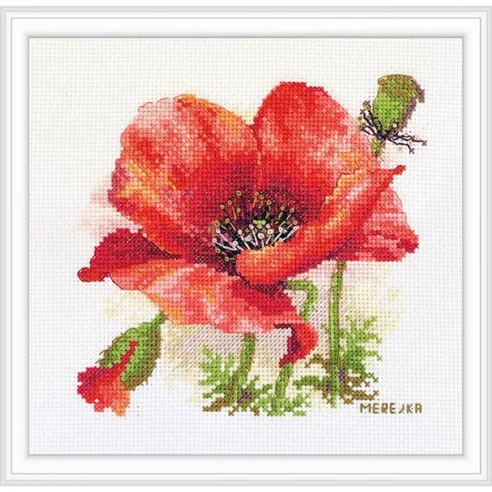 Red Poppy