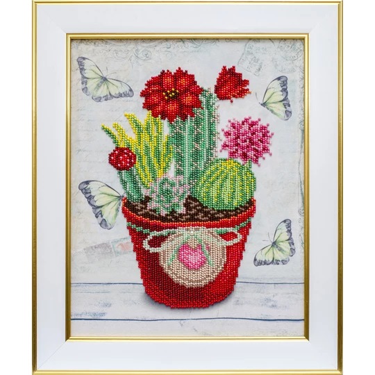 Cacti
