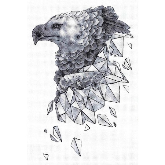 Geometry Eagle