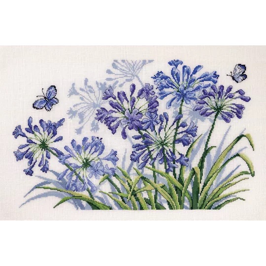 Indigo Agapanthus