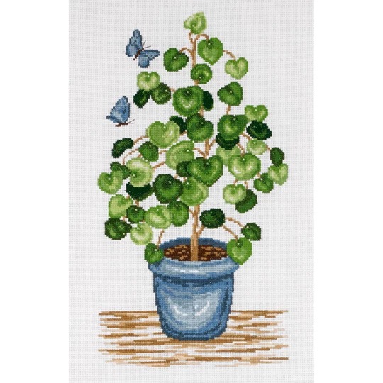 Pilea and Butterflies