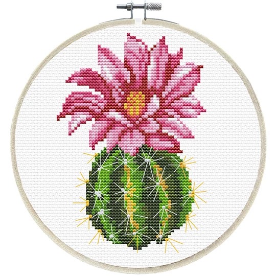 Pink Cactus