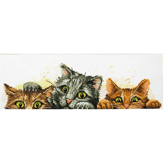 Curious Kittens