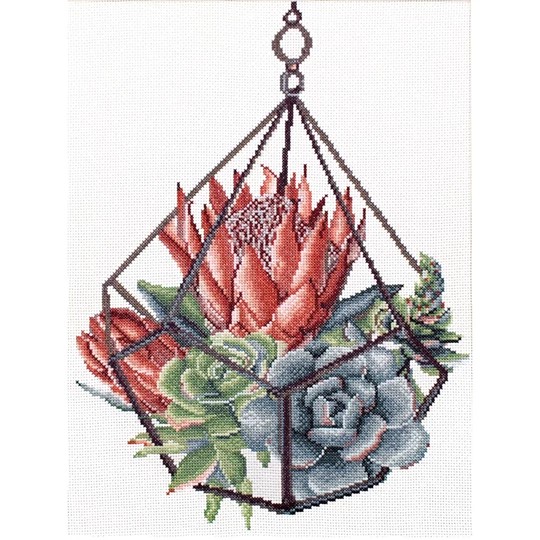 Succulent Garden 1