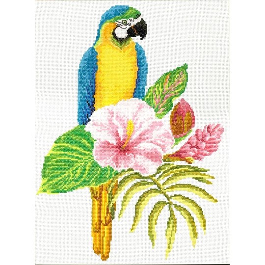 Hibiscus Macaw