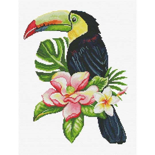 Toucan Look Out
