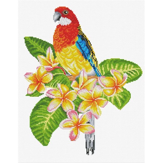Frangipani Rosella