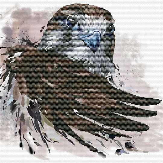 Falcon Salute