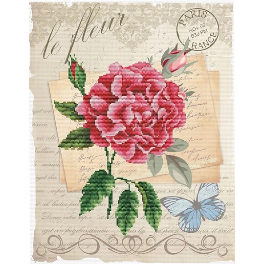 Rose Bloom