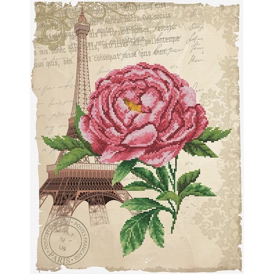 Romantic Rose