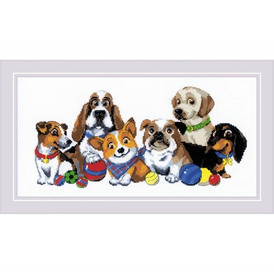 Dog Show