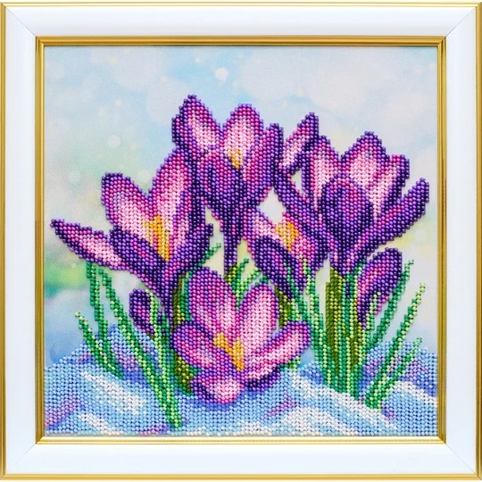 Crocuses