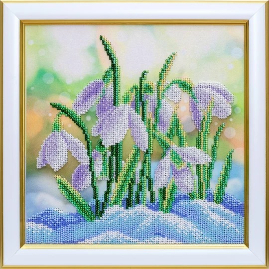 Snowdrops