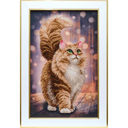 Dreamy Cat