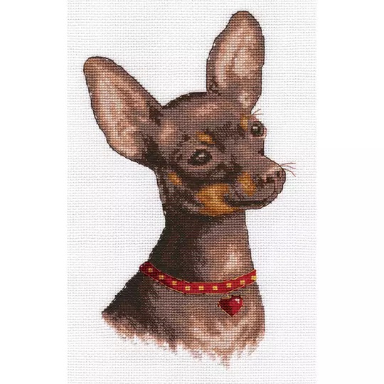 Toy Terrier