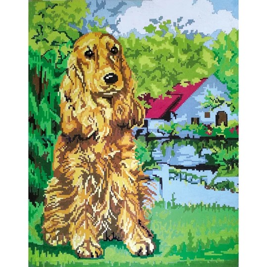 Cocker Spaniel