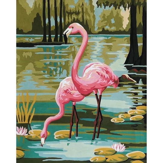 Flamingos