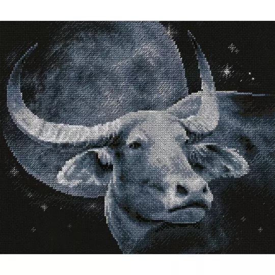 Bull