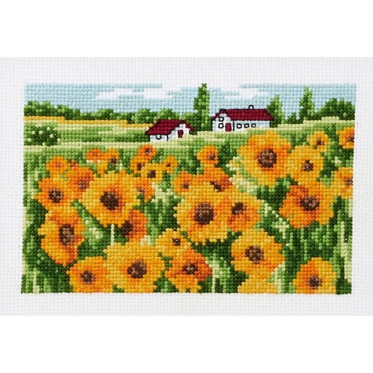 Sunflower Field