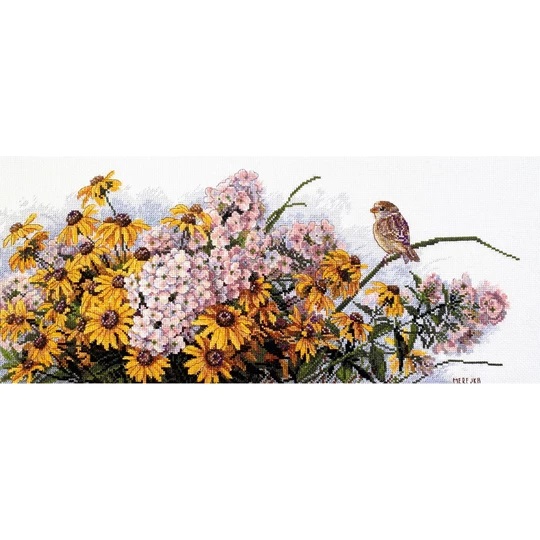 Black Eyed Susans and Phlox