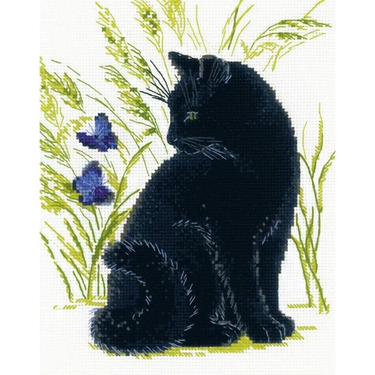 Black Cat