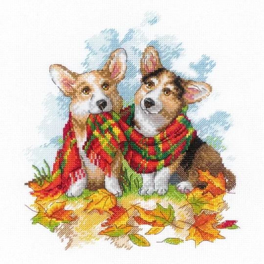 Ready for Autumn