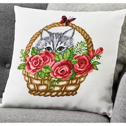 Basket and Cat Cushion