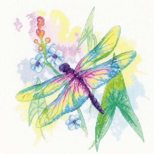 Rainbow Beauty