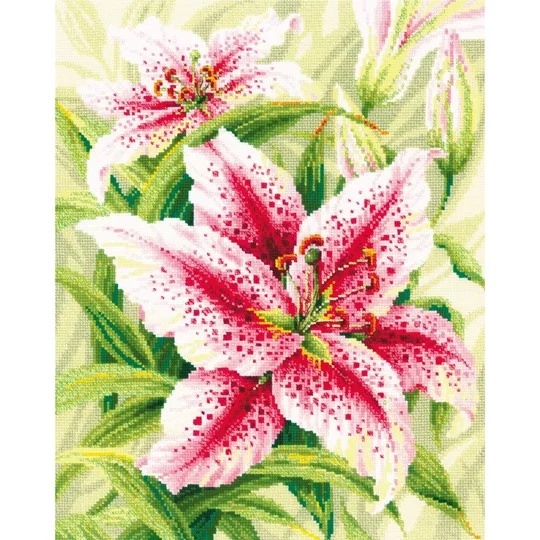 Lilies