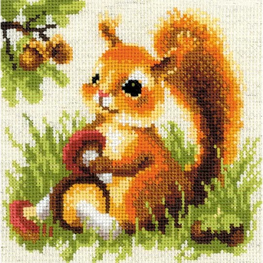 Squirrel
