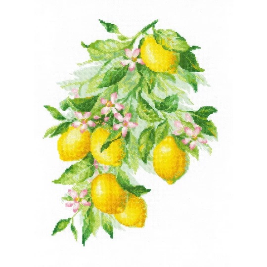 Bright Lemons