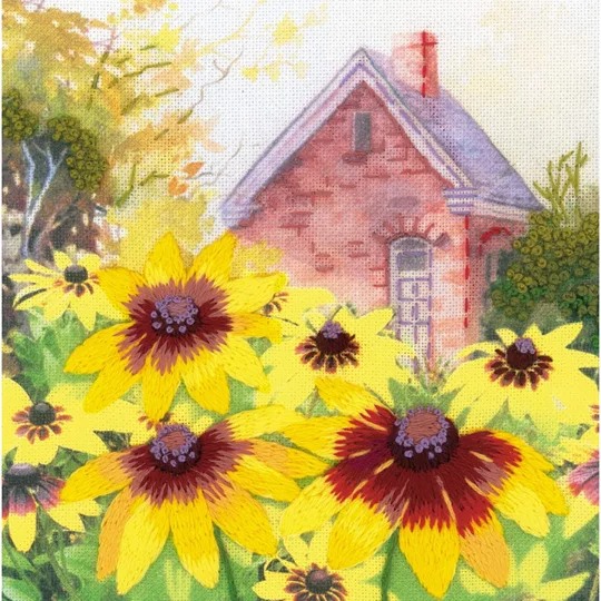 Rudbeckia in the Garden