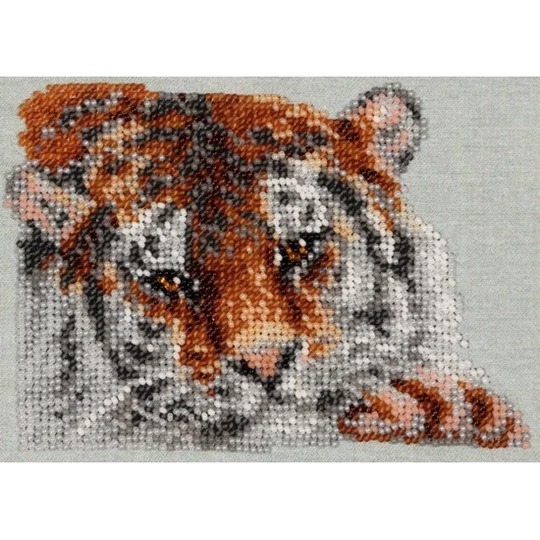 Bengal Tiger
