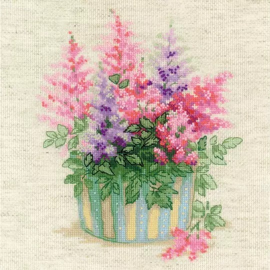 Astilbe