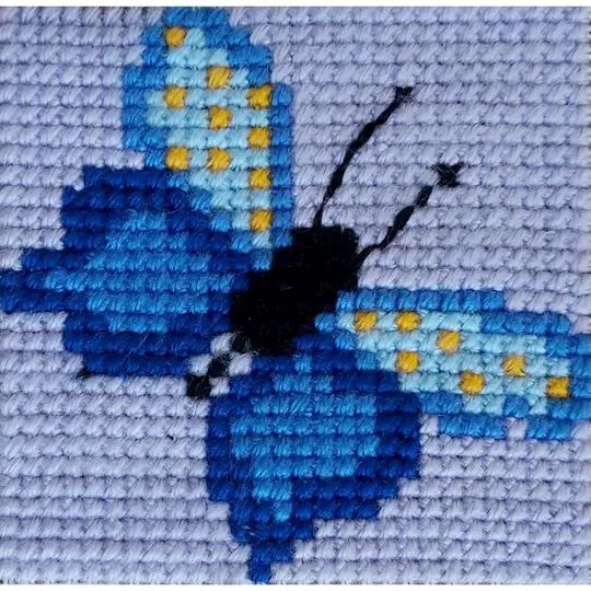 Blue Butterfly