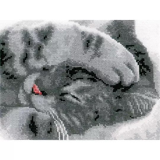 Cute Kitten