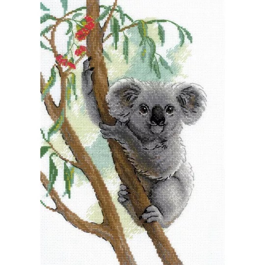Cute Koala