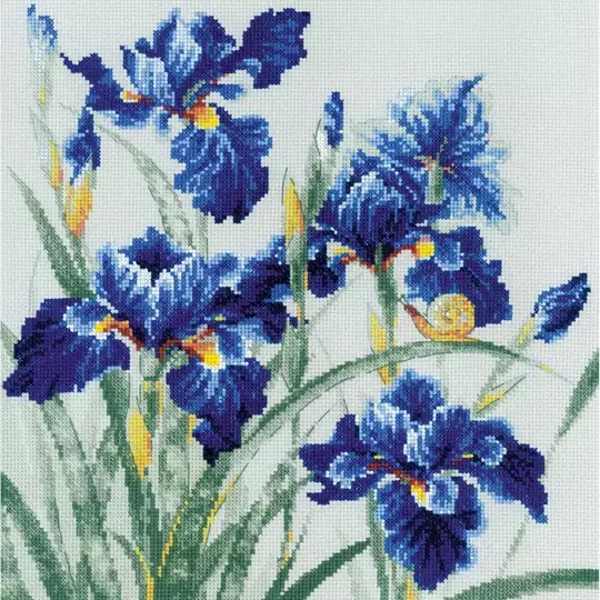 Blue Irises