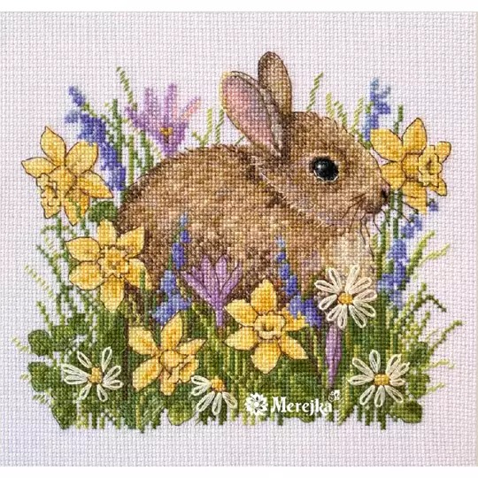 Little Rabbit