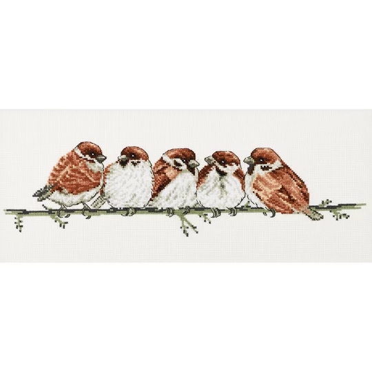 House Sparrows